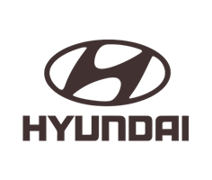 EVA коврики для Hyundai (Хендай)