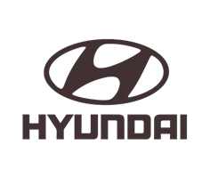 EVA коврики для Hyundai (Хендай)