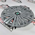 Колпаки R14 SKS-Teorin для Skoda Fabia - фото