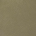Экокожа Brandy Coventry khaki - фото